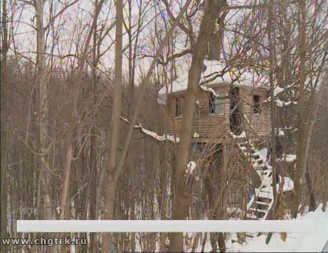Дом, который построил… Судебные приставы снесли незаконно установленный в Лакреевском лесу домик на дереве