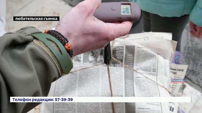 В Чебоксарах прошла всероссийская акция «Сохраним лес»