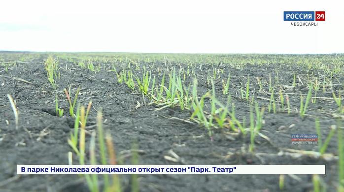 Минсельхоз республики напоминает аграриям о необходимости страхования посевов для минимизации рисков