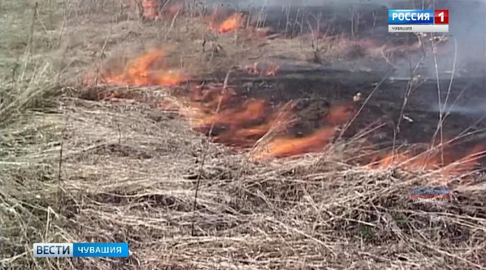 Из-за сухой погоды в лесах Чувашии установился четвертый  класс пожарной опасности