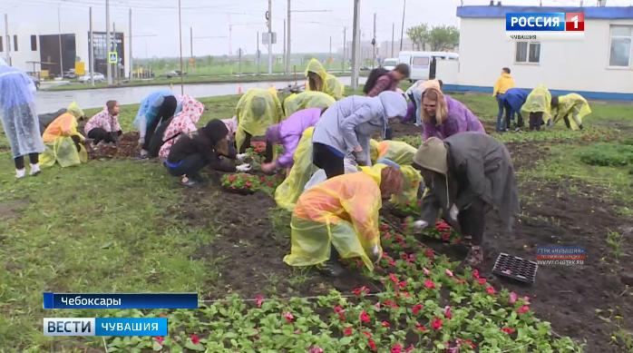 В Чебоксарах школьники помогают украшать город  цветниками и клумбами