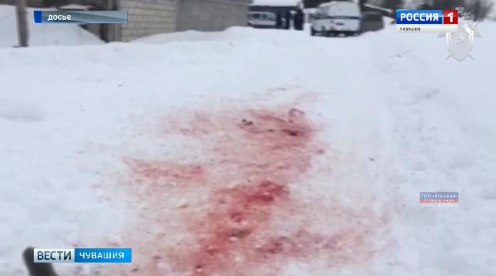 Суд назначил наказание хозяину двух собак, которые насмерть загрызли пожилую жительницу Цивильского района 