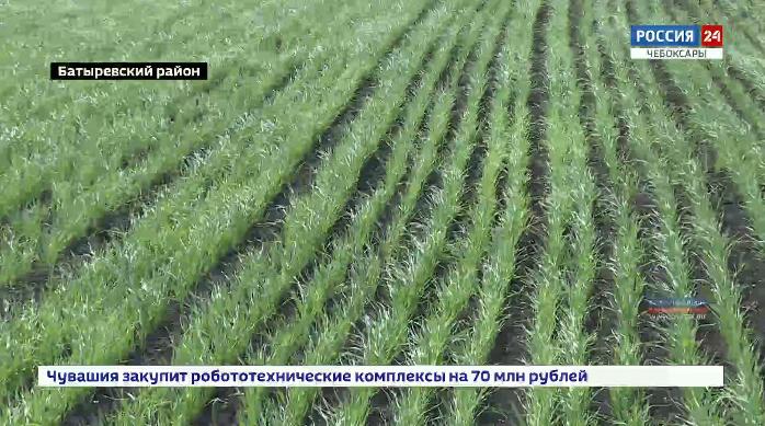 Нерадивые хозяева-пайщики и трудолюбивое фермерское хозяйство судятся из-за  земель сельхозназначения 