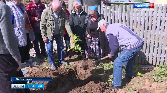 Именной саженец в честь Михаила Сеспеля: в Чебоксарах появится парк, в котором каждое дерево будет носить имя известного земляка