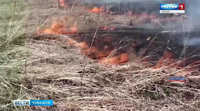 В Моргаушском районе мужчина во время пала травы получил ожоги 