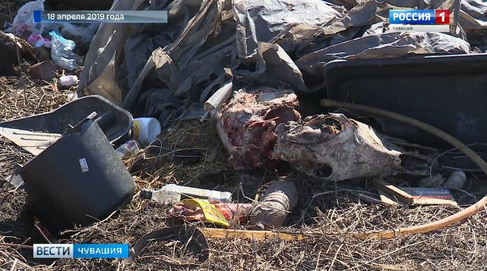 Несанкционированную свалку с останками животных в селе Батырево расчистили 