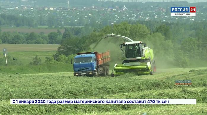 Аграрии Чувашии торопятся  заготовить питательные корма 