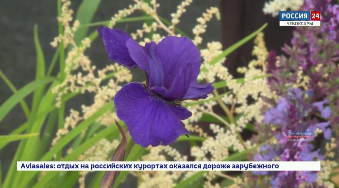 Столичные флористы представили зелёные «экспонаты» для благоустройства территорий на выставке «Регионы – сотрудничество без границ»