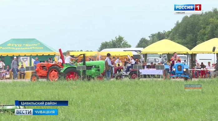 Традиционная выставка "День поля" проходит в Цивильском районе
