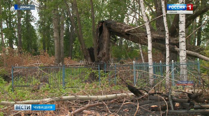 Историей благоустройства кладбища в Батыревском районе заинтересовалась прокуратура