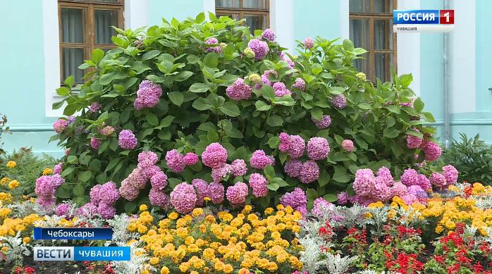 Главный вуз республики запустил конкурс «Цвети, мой университет»