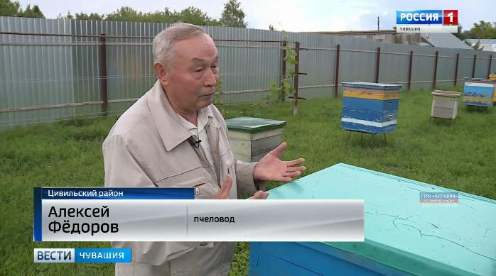 Какой урожай меда ожидают получить чувашские пчеловоды