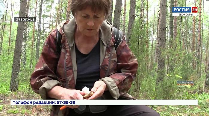 В Заволжье благодаря профессионализму полицейских нашлись заблудившиеся женщины, которые пошли в лес за грибами