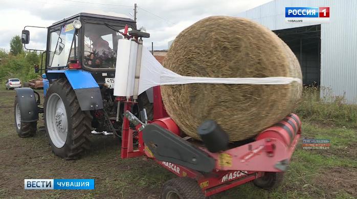 Господдержка помогает фермеру из Красноармейского района развивать личное подсобное хозяйство