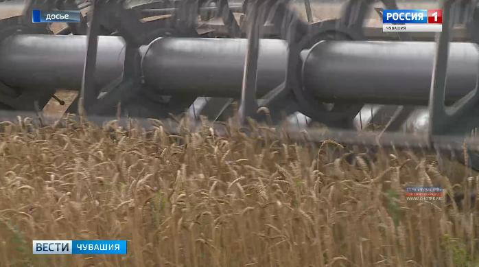 Показатели уборочных работ ниже, 