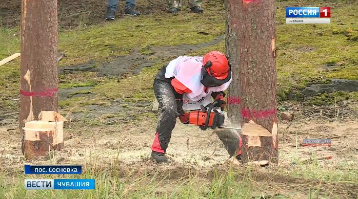 В Сосновке прошел конкурс на лучшего вальщика леса