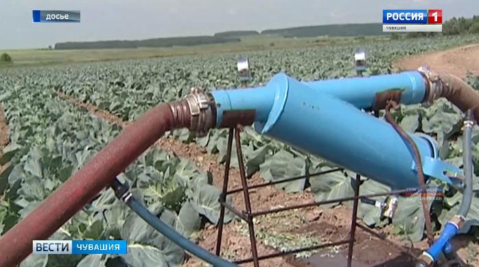 Ленинский районный суд вынес приговор фермерам, причастным к  мошенничеству при получении субсидий на мелиорацию земель