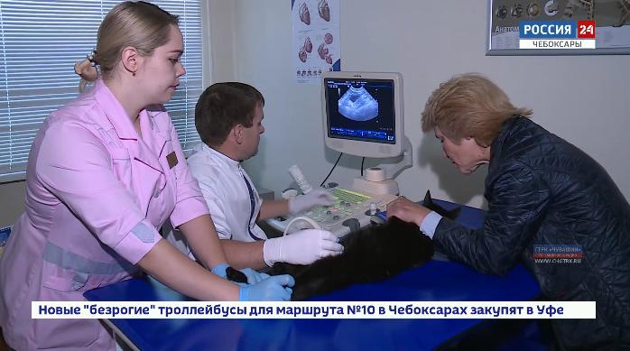 В Чебоксарах открылась станция по борьбе с болезнями животных