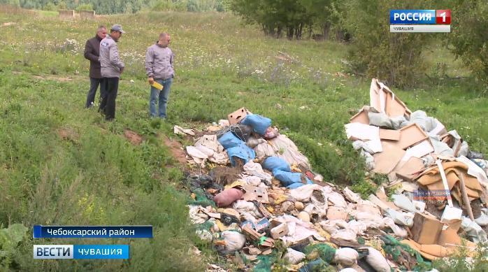 Опасные свалки: стихийные навалы мусора вблизи аэропорта Чебоксар предписано убрать в ближайшие дни