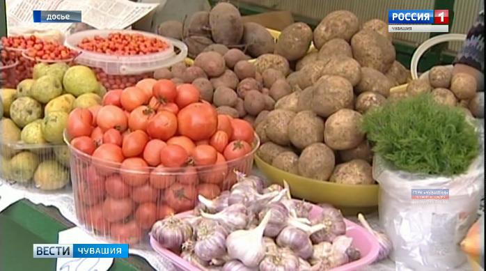 В Чувашии стартует месячник по продаже сельхозпродукции «Дары осени – 2019»