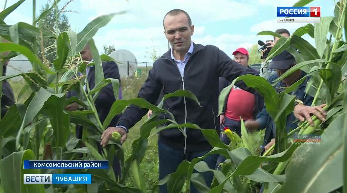 Глава Чуваши Михаил Игнатьев ознакомился с ходом уборочных работ