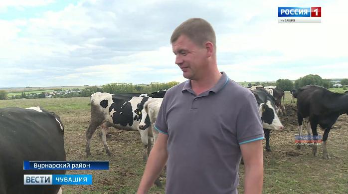 Фермер из Вурнарского района расширяет крестьянское хозяйство благодаря господдержке