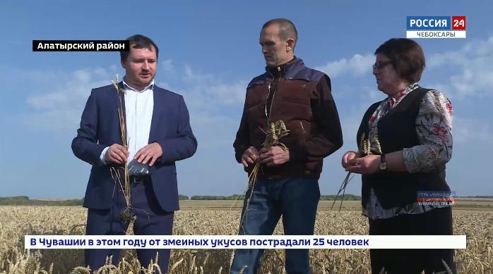 Михаил Игнатьев ознакомился с ходом уборочных работ в Алатырском районе