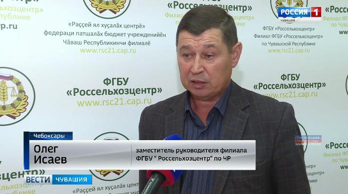 Чтобы урожайность не подвела: Россельхозцентр рекомендует аграриям формировать переходящий фонд семян