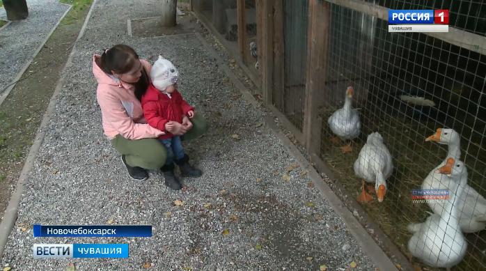 Депутаты и чиновники проверили условия содержания животных в зооуголке Ельниковской рощи