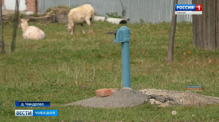 Чистая вода – в каждый дом: в Чандрово идёт масштабный ремонт сетей водоснабжения