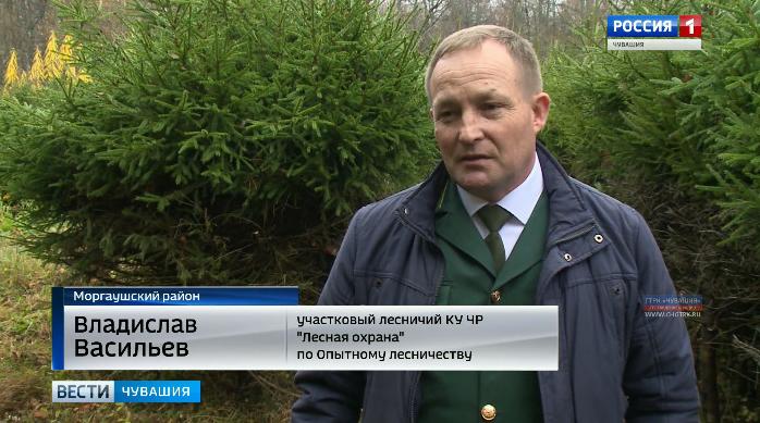 Лучшим лесным инспектором страны стал участковый лесничий из Моргаушского района 