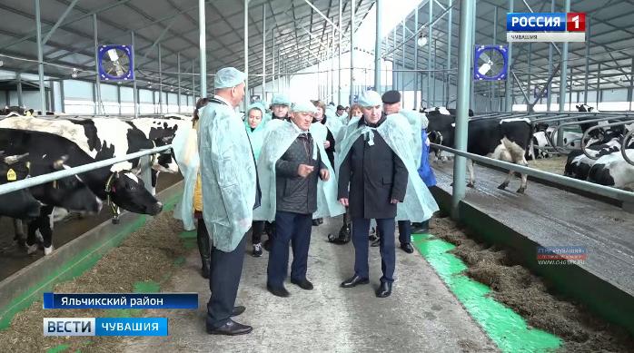 В Яльчикском районе в хозяйстве «Победа» открылась новая ферма