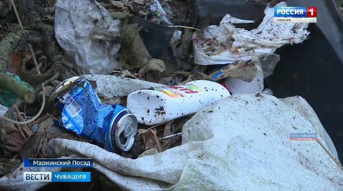 Государева гора в Мариинском Посаде превращается в стихийную свалку