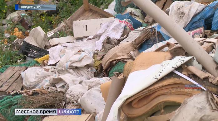 Представители общенародного фронта продолжают борьбу со стихийными свалками у аэропорта Чебоксар 