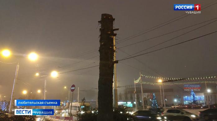 Коммунальщики спилили старую ель около ТЦ «Шупашкар»