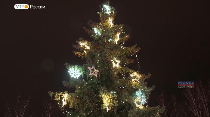 В  парке имени 500-летия Чебоксар установили главную елку Московского района