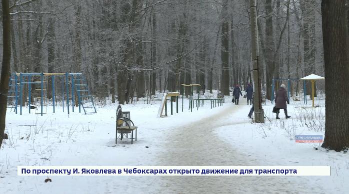 Дубовый массив вдоль проспекта Ивана Яковлева в Чебоксарах будет именоваться Парком дружбы народов