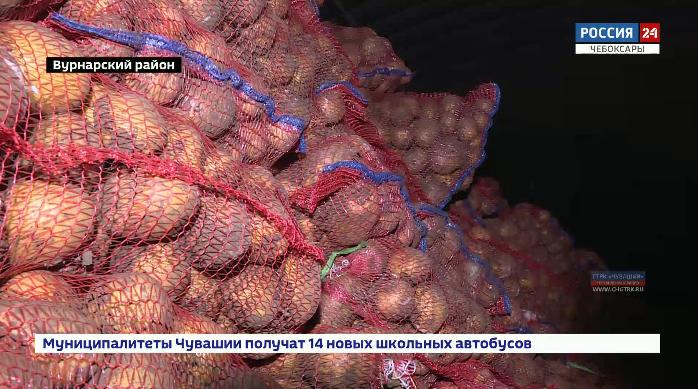 Чувашия увеличивает экспорт сельхозпродукции