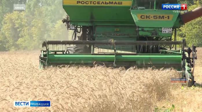 Аграрии Чувашии за 2019 год экспортировали продукцию на сумму более 25 миллионов долларов