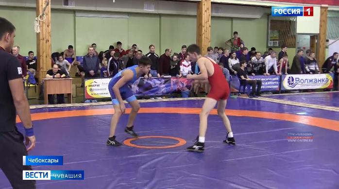 В Чебоксарах определили обладателей Кубка Чувашии по вольной борьбе