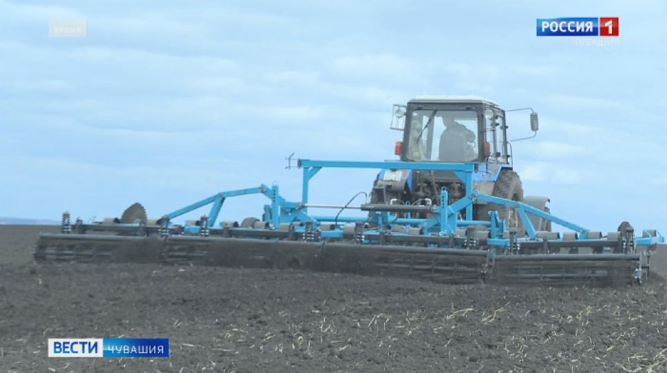  В 2020 году чувашские аграрии увеличат посевные площади 
