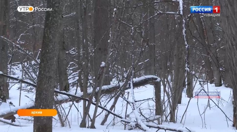   В Присурском заповеднике переписали обитателей  