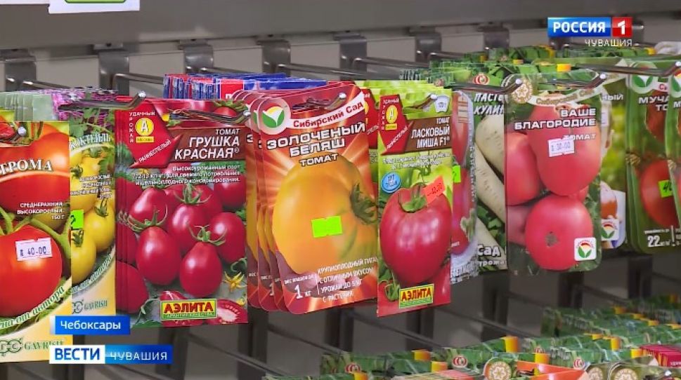 Россельхознадзор Чувашии проверяет магазины и торговые точки с семянами