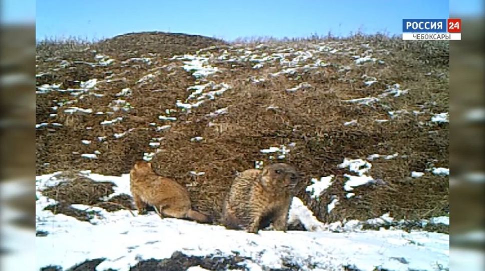   Короткой строкой о событиях недели  