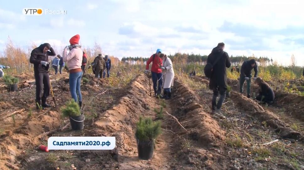 В России стартует акция "Сады памяти"