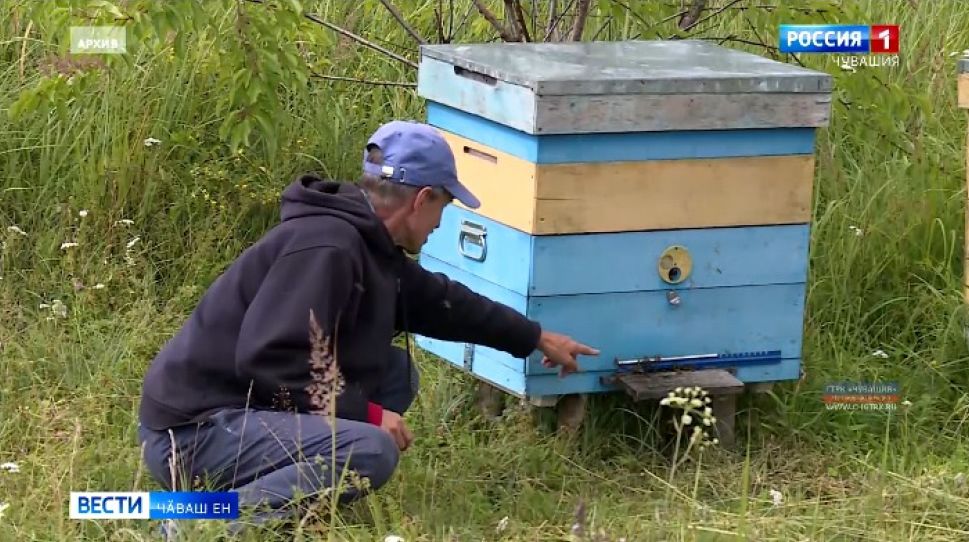 Утарҫӑсемпе ял хуҫалӑх ӗҫченӗсем пыл туса илессинчи ҫивӗч ыйтусене сӳтсе яврӗҫ