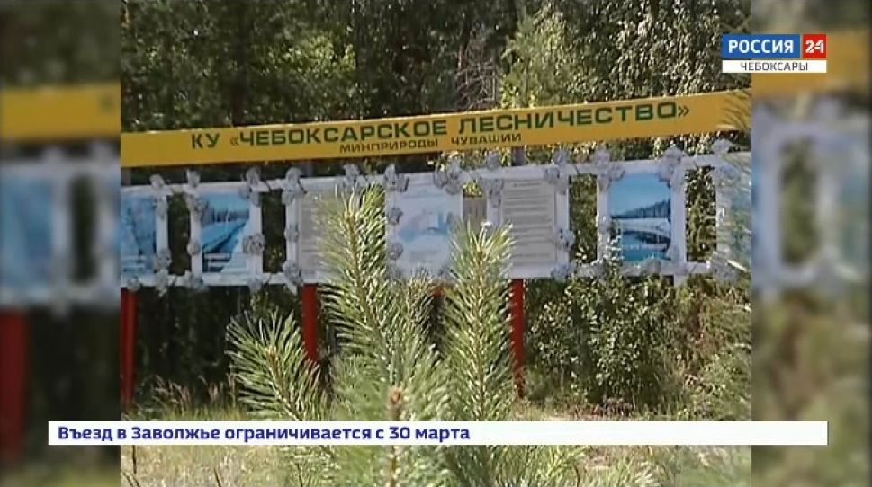 Своей беспечностью чебоксарцы вынудили власти закрыть Заволжье