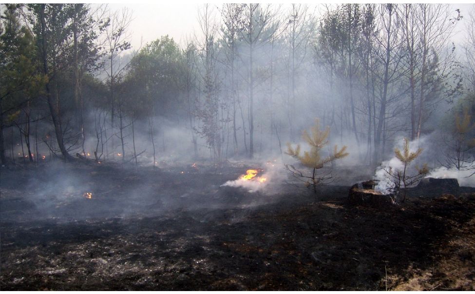    В Чувашии с апреля установлен особый противопожарный режим   