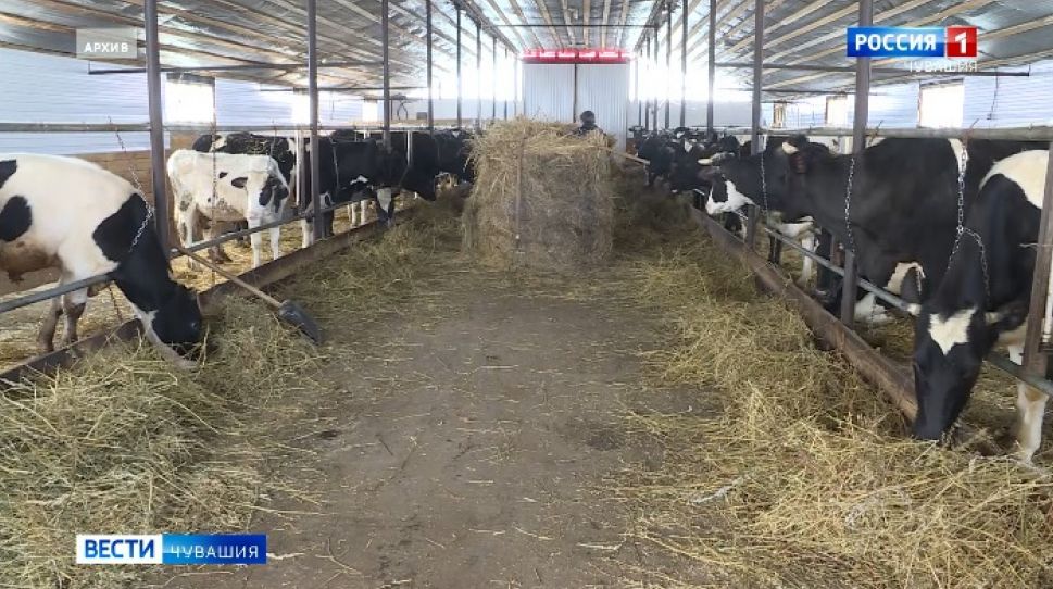 Минсельхоз Чувашии научил производителей зарабатывать на молоке