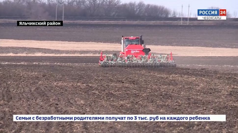   В Яльчикском районе посевную планируют завершить до конца апреля  